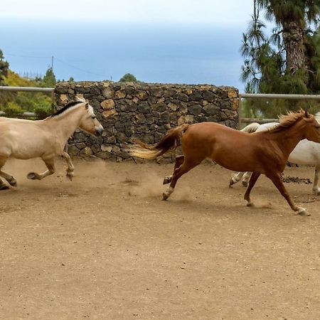 Riendas Vivas La Guancha Екстер'єр фото